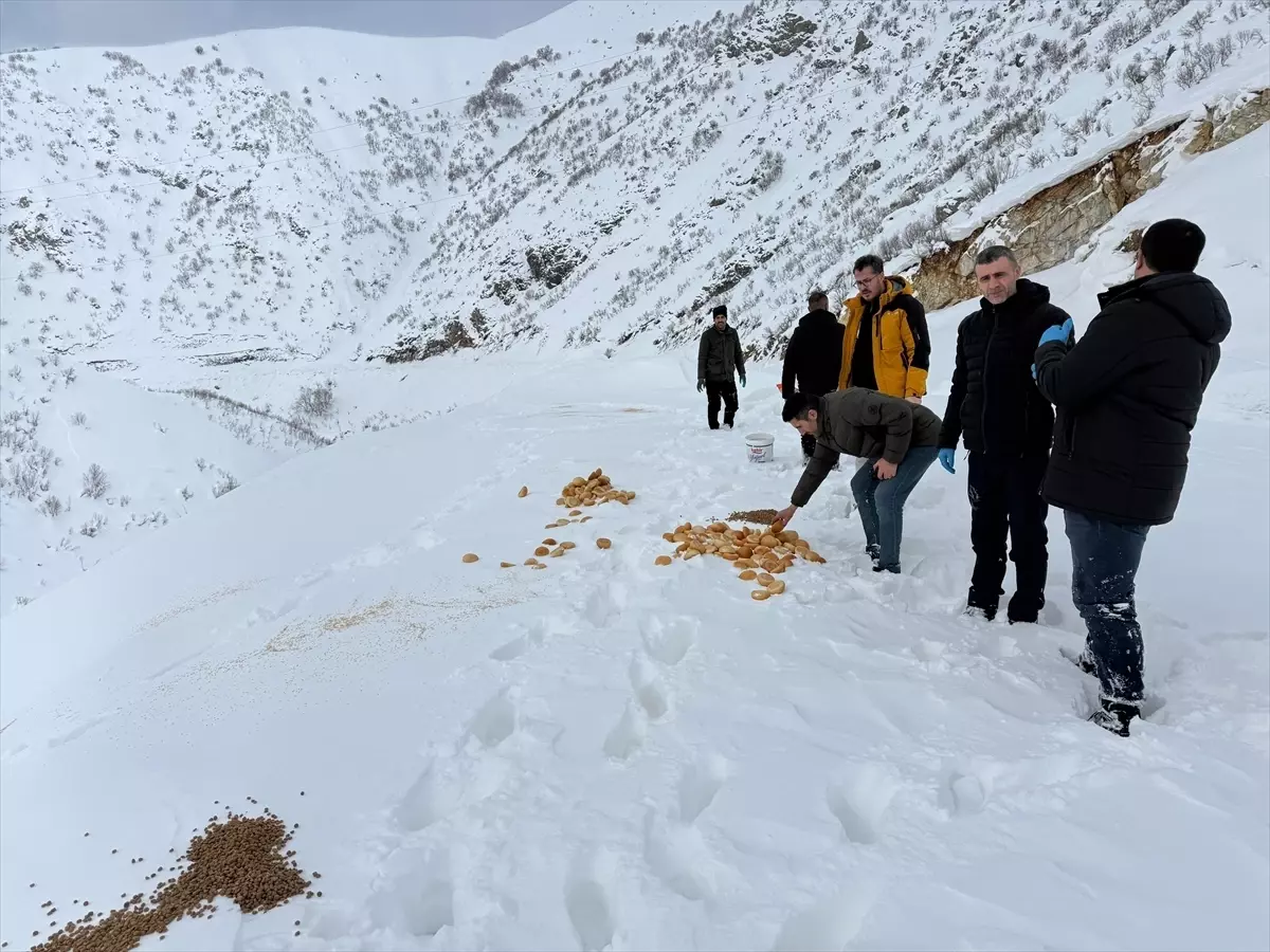 Doğu Anadolu’da Kar Yağışı Yolları Kilitledi: Van ve Çevresindeki 145 Köy Yolda Kaldı