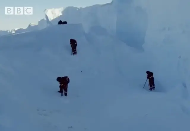 BBC ekibi penguenleri kurtarırken