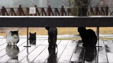 Antalya’da çökük yol ve su birikintileri