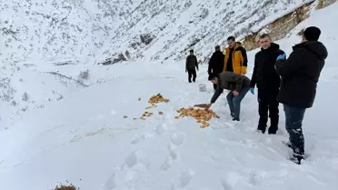 Kar nedeniyle kapalı yolların fotoğrafı