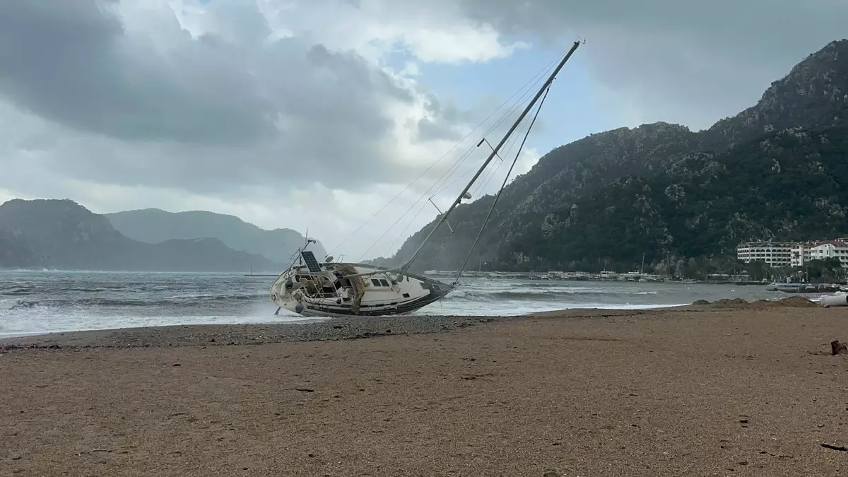 Marmaris’te Şiddetli Fırtına Ağaçları Yere Döktü, Yelkenli Tekne Kıyıya Çarptı