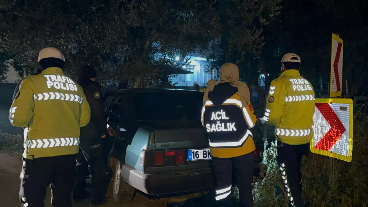 İznik'te Araç Zeytin Ağacına Çarptı: Sürücü Hafif Yaralı