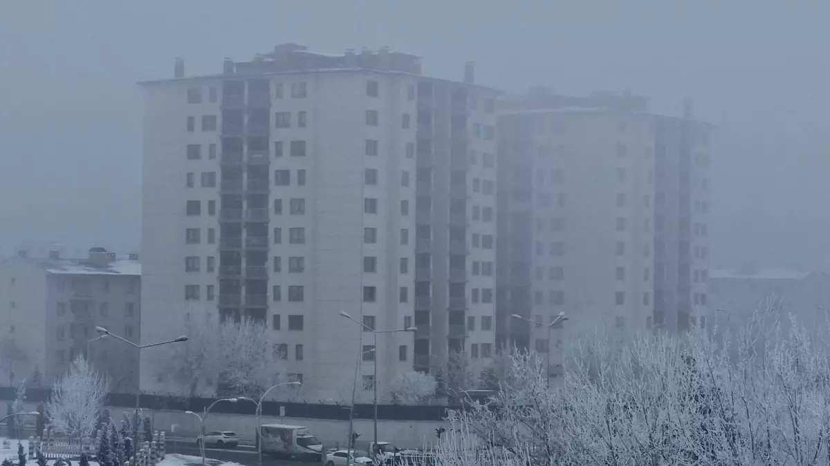 Diyarbakır’da Görüş Mesafesi 20 Metreye Düştü: Yoğun Sis ve Kırağı Ulaşımı Etkiledi