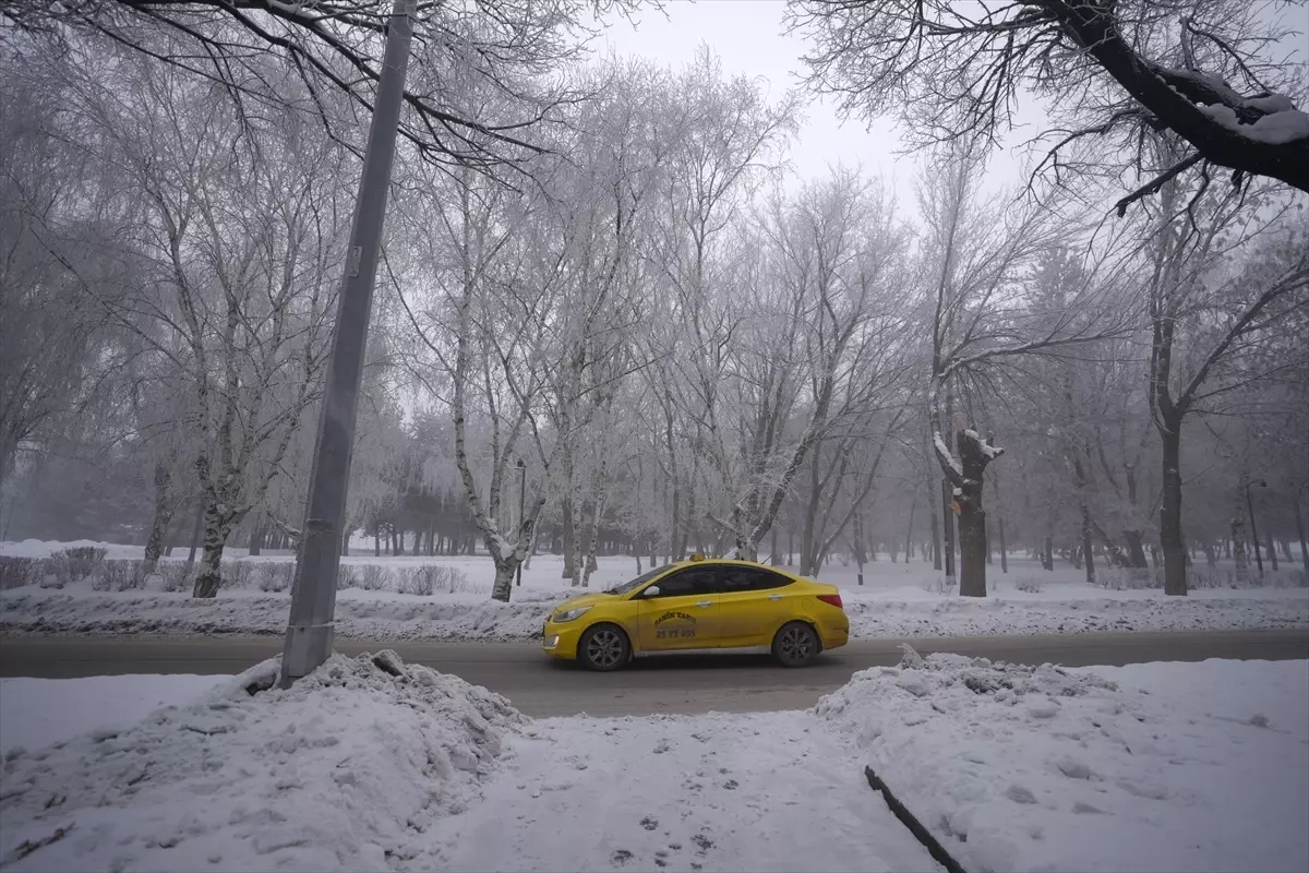 Doğu Anadolu’da Dondurucu Soğuk ve Yoğun Sis Şehirlere Darbe Vurdu