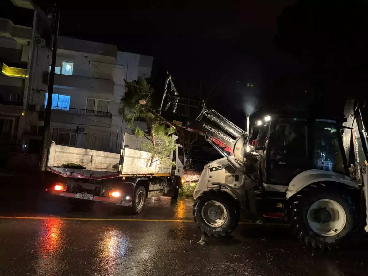 Nazilli’de Şiddetli Fırtına Sonrası Elektrik Kesintisi ve Ağaç Düşüşü