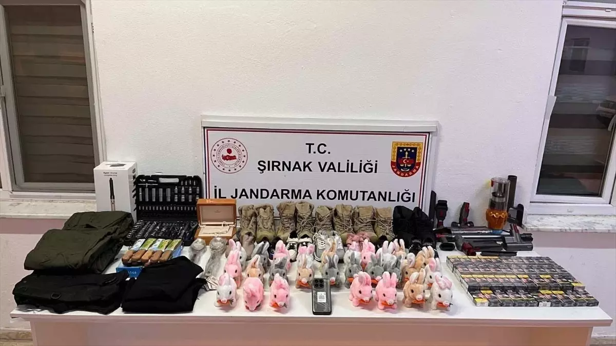 Şırnak'ta Büyük Kaçakçılık Operasyonu: 117 Şüpheli Gözaltına Alındı
