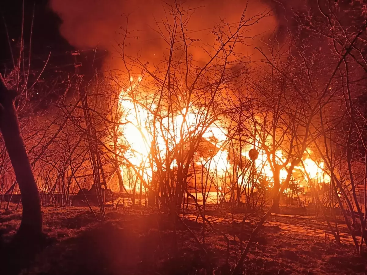 Ordu’da Yangın Sonrası Şok: Ev Sahibi Ağaçta Asılı Bulundu