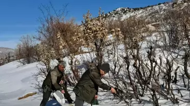 Gercüş’te Kuş Dostları İçin Doğal Yem Bırakımı Gerçekleşti