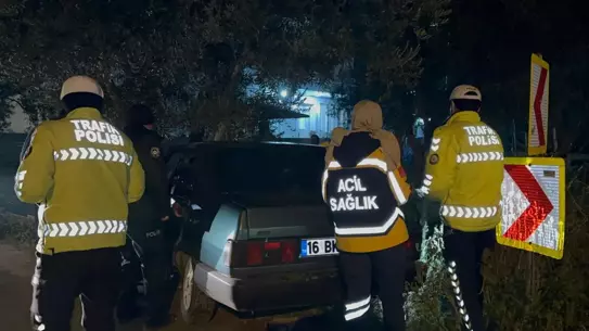 Zeytin ağacına çarpan otomobilin fotoğrafı