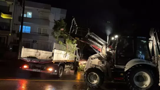 Devriği ağacın elektrik tellerine temas etmesi