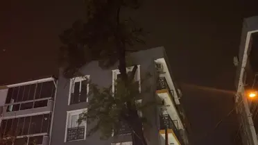 Fırtına nedeniyle ağaç binaya dayandı