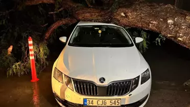 İzmir’de Şiddetli Yağış ve Fırtına Şehir Hayatını Olumsuz Etkiledi