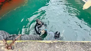 İtfaiye su altı timi kediyi kurtarıyor