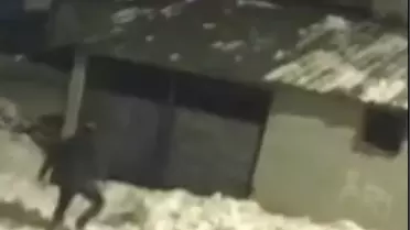 Kaza anı kamera kaydı