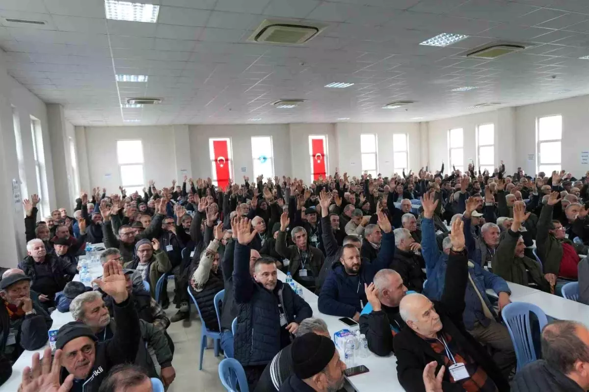 Marmarabirlik Orhangazi Zeytin Kooperatifinde Hüseyin Sevdi Yeni Başkan Olarak Görevine Başladı