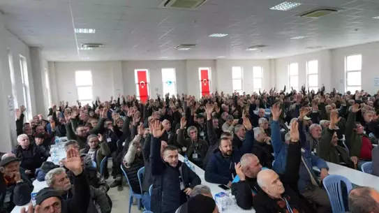 Marmarabirlik Orhangazi Zeytin Kooperatifinde Hüseyin Sevdi Yeni Başkan Olarak Görevine Başladı