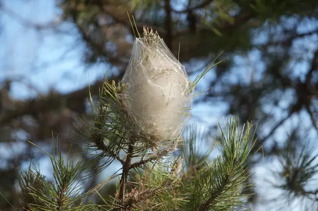 Temizlik ekipmanları
