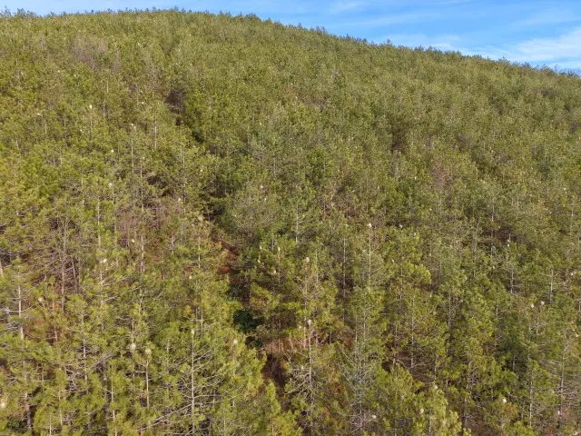 Biyolojik kontrol uygulaması