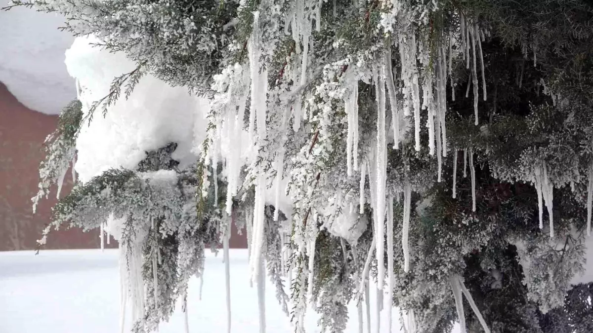 Bitlis’te Kış Mücadelelerinde Rekor Yakıt Kullanımı ve Ulaşım Çalışmaları