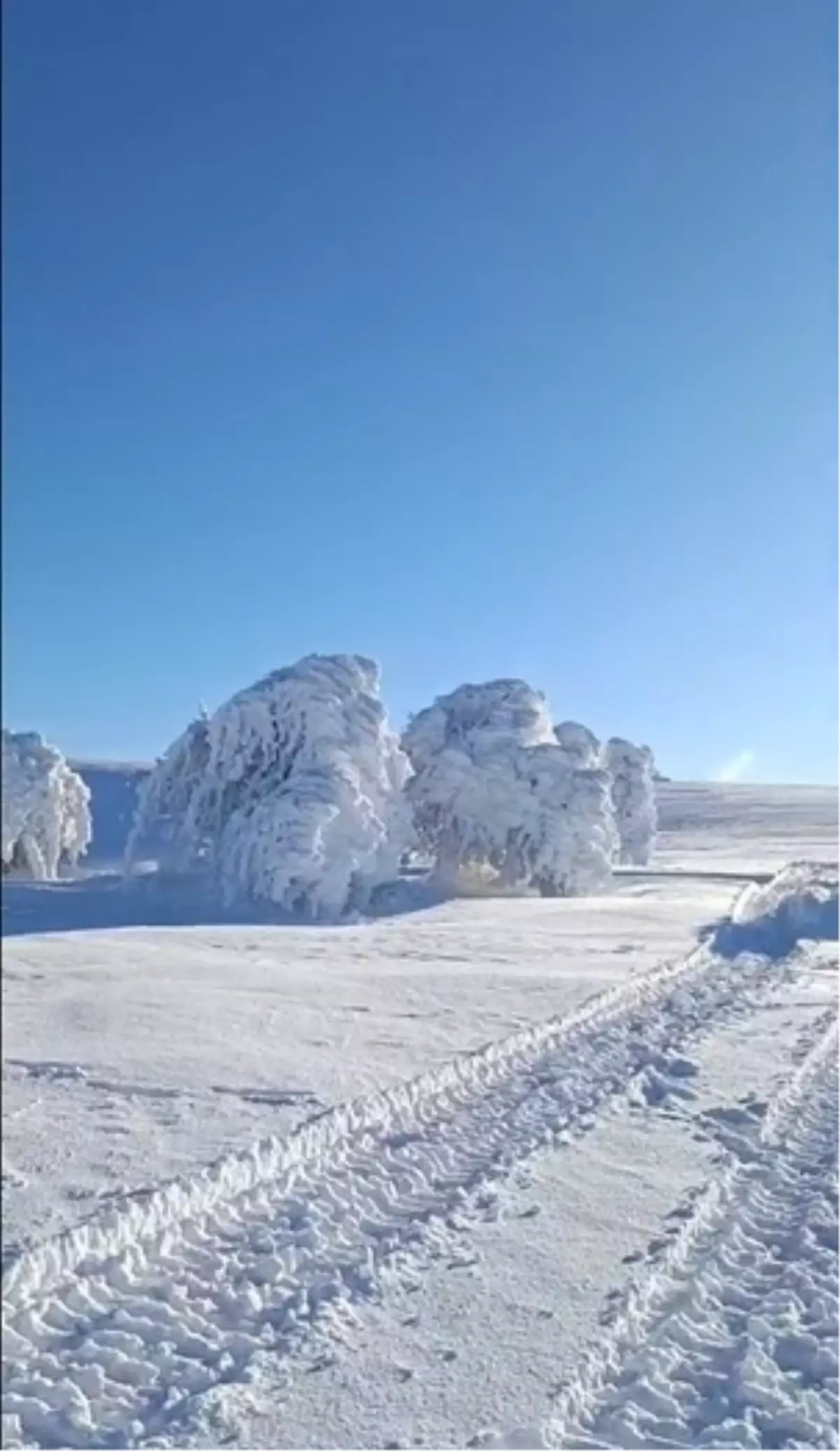 Mudurnu Susuz Yaylası'nda Buz Tutmuş Ağaçlar Büyüleyici Manzara Oluşturdu