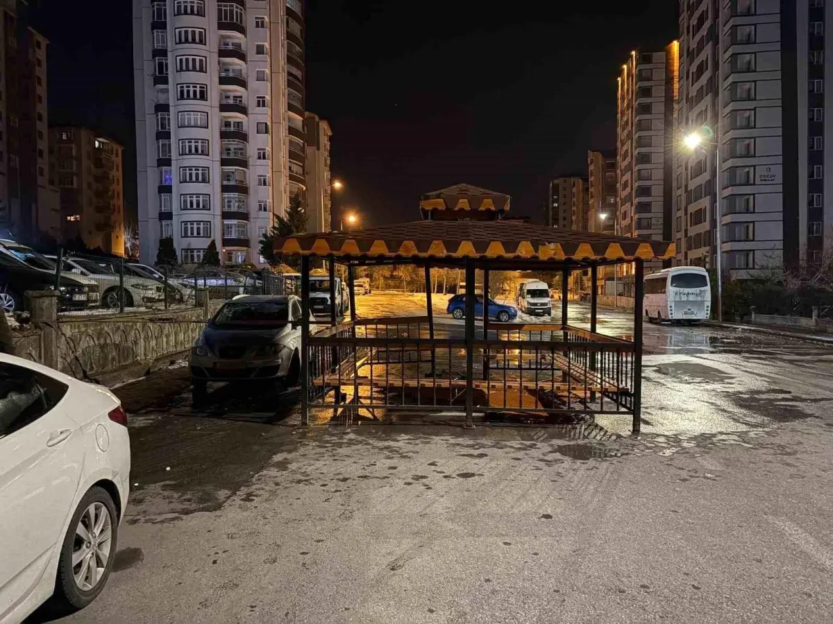 Kayseri'de Şiddetli Rüzgar Kamelyayı Yere Düşürdü, İki Araç Hasar Aldı