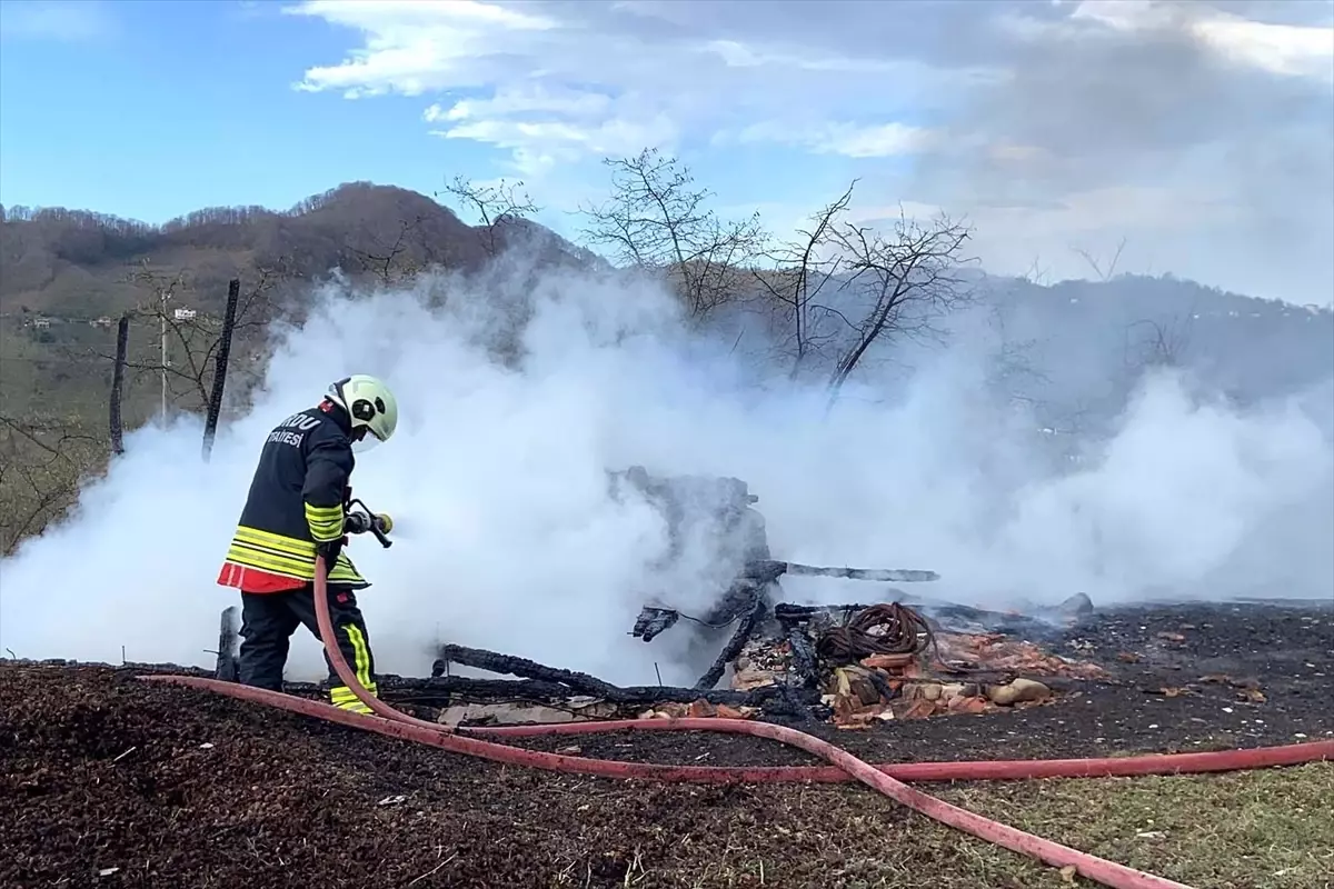 Ünye'de Samanlık Yangını: İtfaiye Hızlı Müdahale Etti