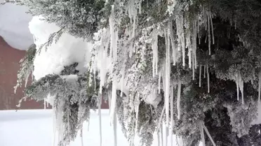 Bitlis’te Kış Mücadelelerinde Rekor Yakıt Kullanımı ve Ulaşım Çalışmaları