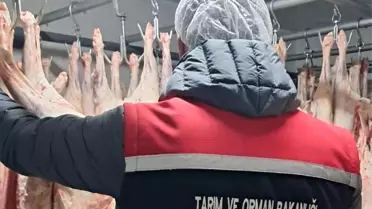 Erzurum’da 201 Gıda Satışı İşletmesi Denetlendi, Olumsuzluk Tespit Edilmedi