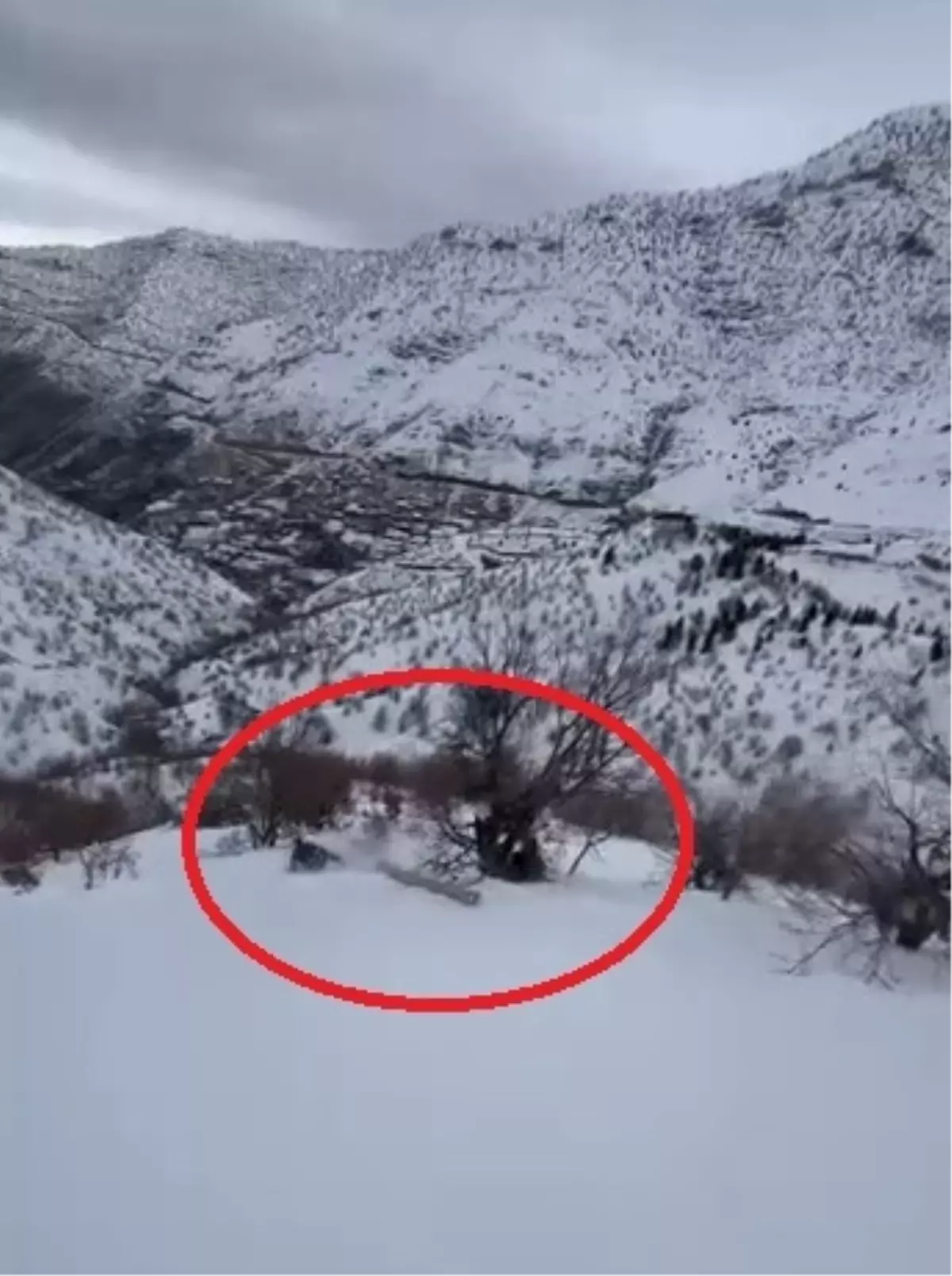 Diyarbakır’da Enerji Şirketi Çalışanları Kaygan Zeminde Düşse de Yaralanmadan Kurtuldu