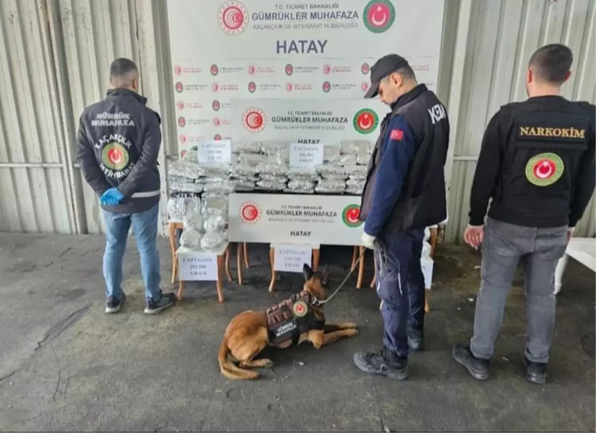 İskenderun Limanı'nda Gümrük Operasyonu: 1,4 Milyon Uyuşturucu Hap Ele Geçirildi