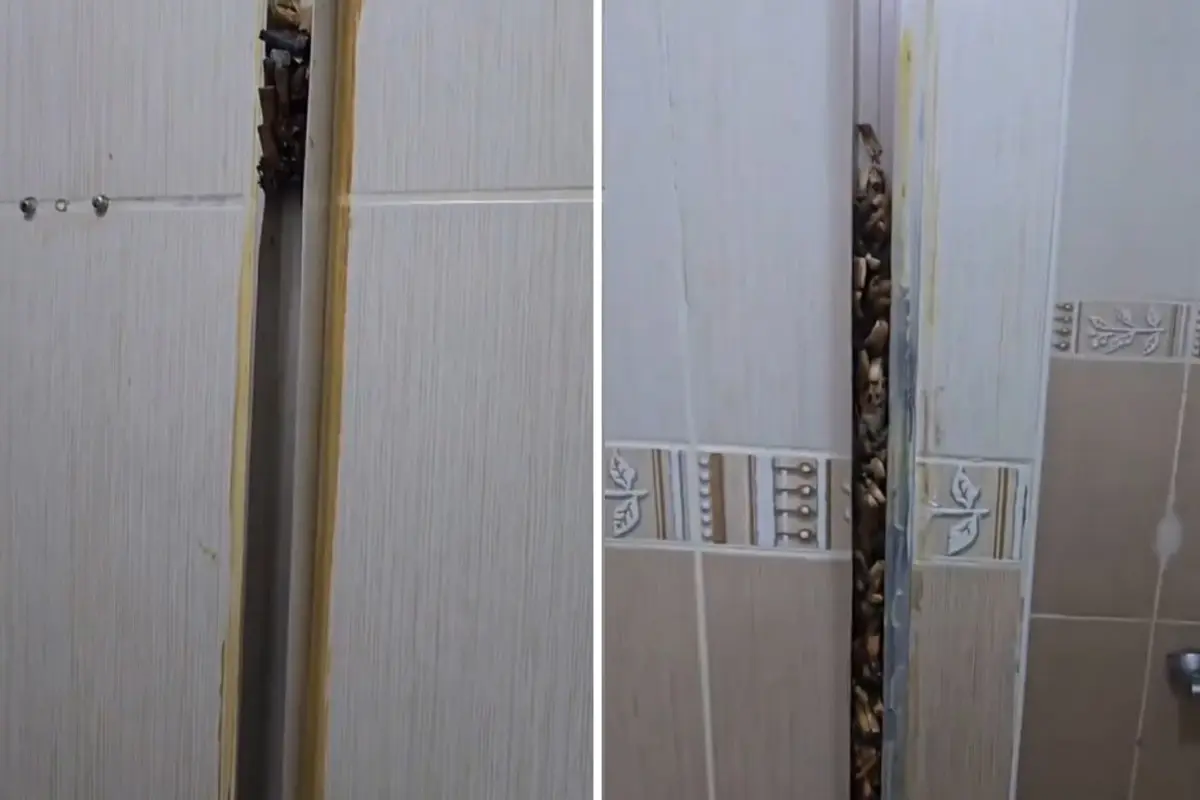 Kiraya Verilen Evde Öğrencilerin Ayrılışından Sonra Kadının Şaşkınlığı