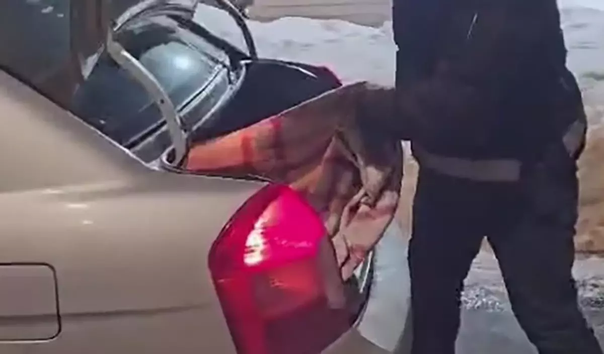 Kars'ta Kaçak Göçmen ve Organizatör Tutuklandı