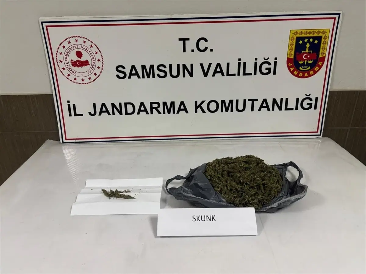 Samsun’da 2,5 kg Uyuşturucu Ele Geçirildi, S.B. Gözaltına Alındı