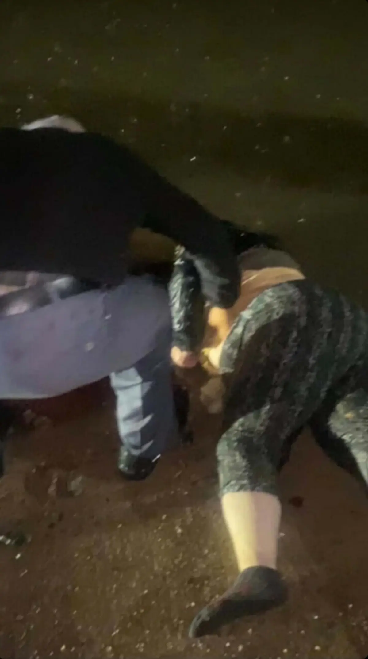 Torbalı’da Trafik Kazası: 52 Yaşındaki Dilek Us Hayatını Kaybetti