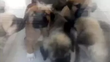 Mahkeme salonunda dava dosyası