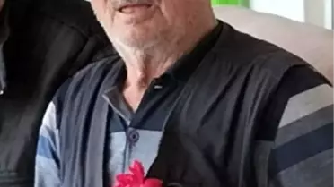 Kaza anındaki araç ve yaya