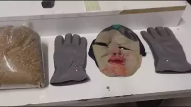 Esenyurt operasyonunda ele geçirilen bonzai