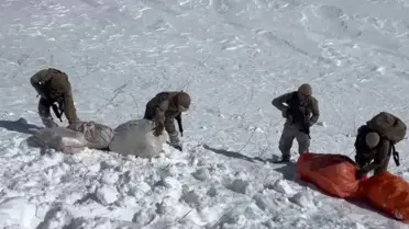 Ele geçirilen uyuşturucu maddelerin detay görüntüsü
