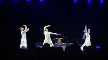 İstanbul'da Hindistan Cumhuriyet Günü kutlaması