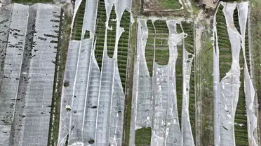 Seydikemer'de Hortum Seraları Zarar Altına Aldı: 100 Dönüm Hasar Tespit Edildi