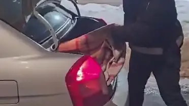 Kars'ta kaçak göçmen yakalanması