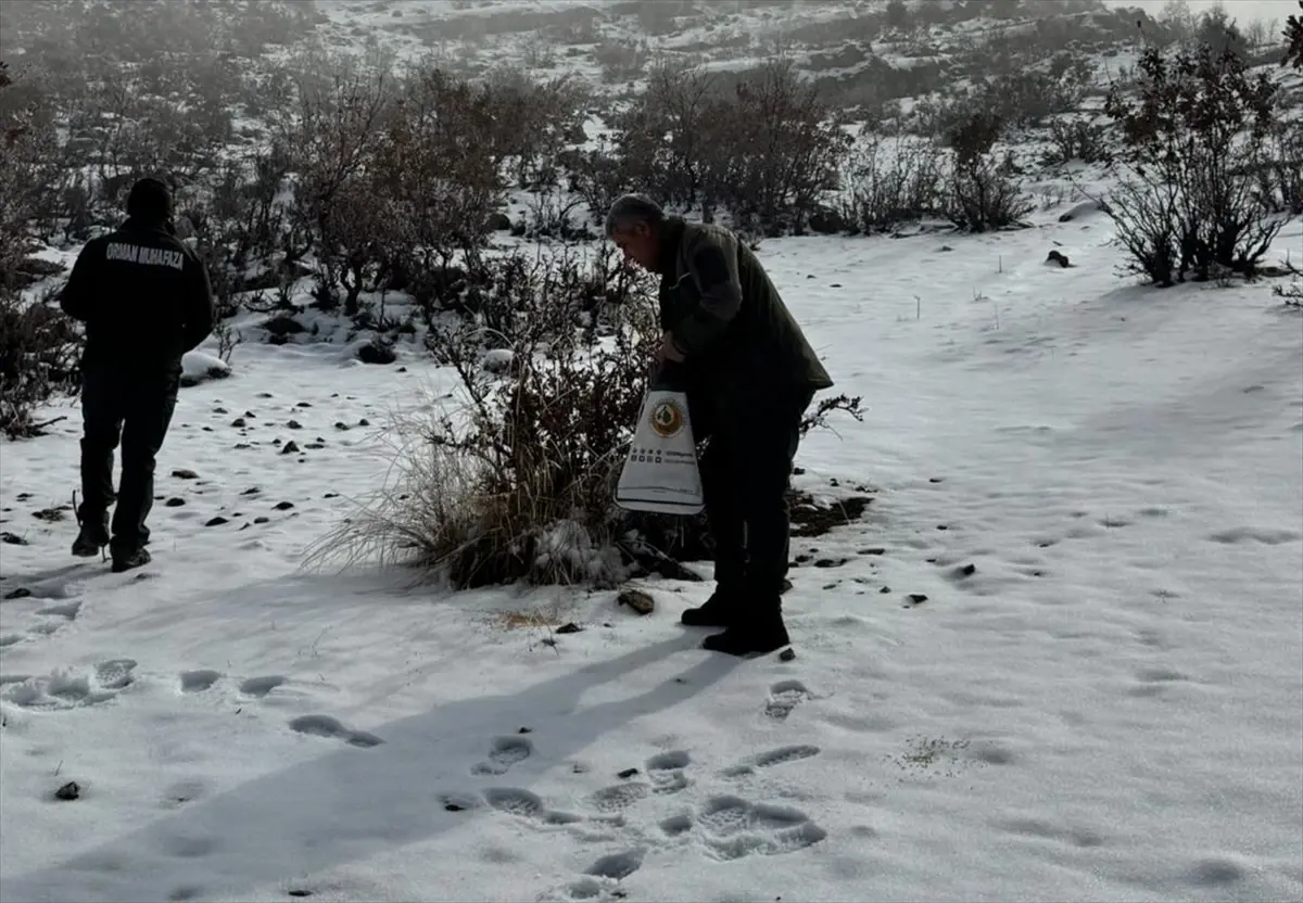 Hasankeyf’te Olumsuz Hava Şartlarına Karşı Yaban Hayvanları İçin Acil Yemleme Çalışması