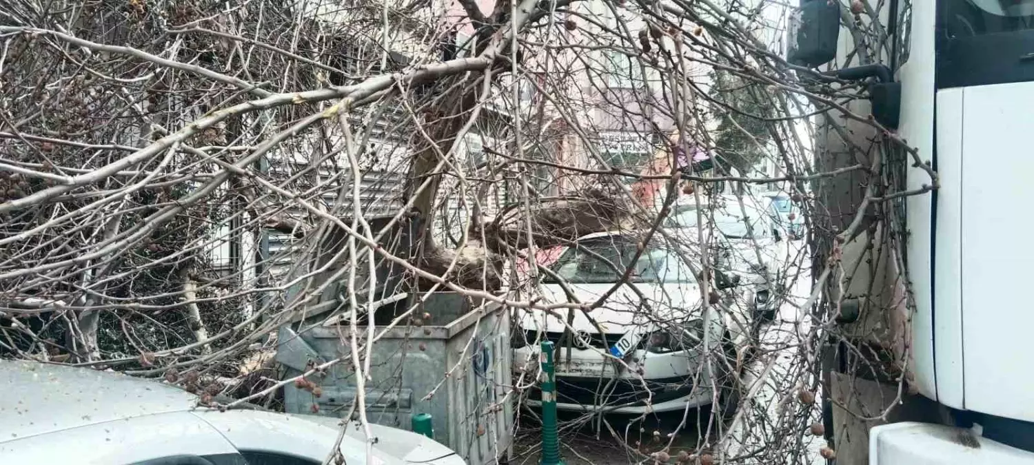 Bandırma’da Kamyon Çınar Ağacına Çarparak Araçları Devrtti