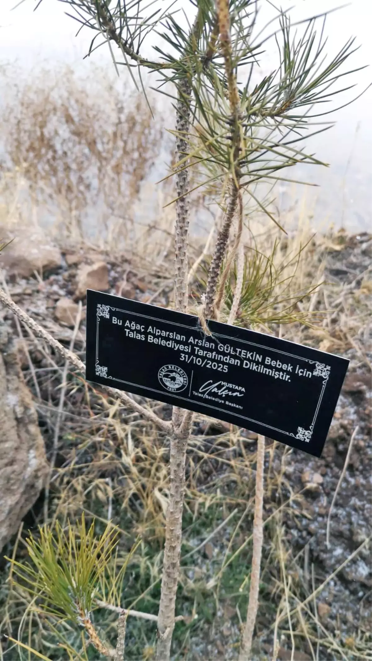 Talas Belediyesi'nden Doğaya Nefes: Her Bebek İçin Bir Fidan Projesi