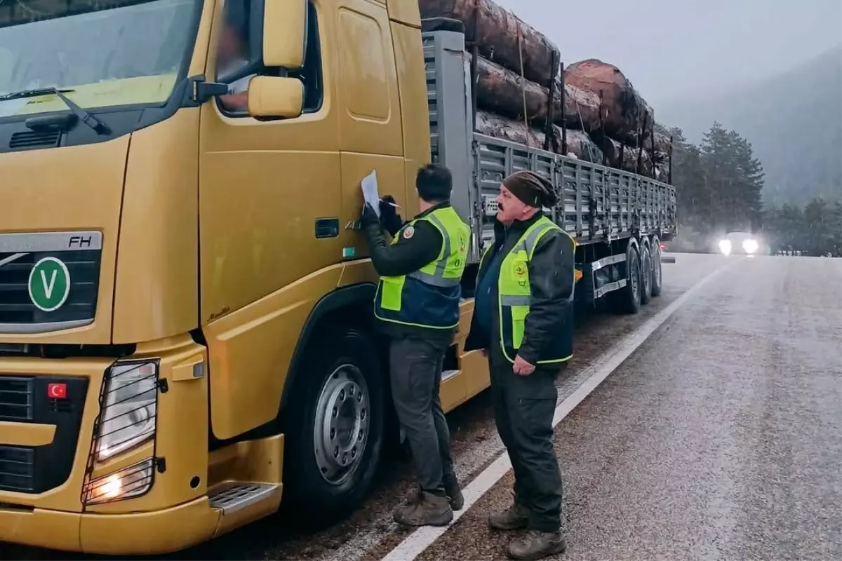 Bolu’da Orman Denetimlerinde Artış: Kaçak Kesim Araçları Tek Tek Kontrol Ediliyor