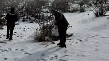 Hasankeyf’te Olumsuz Hava Şartlarına Karşı Yaban Hayvanları İçin Acil Yemleme Çalışması