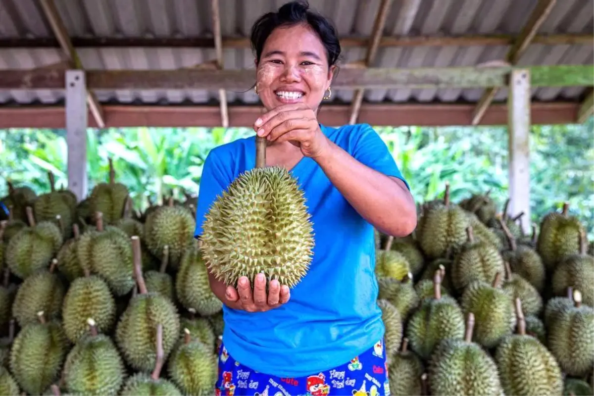 Wuhan‑Bangkok Direkt Hava Kargo Rotası Başladı: Teslimat Süreleri Yarıya Düştü