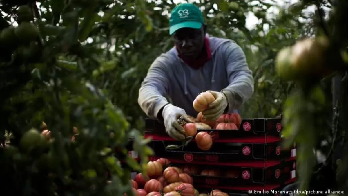 İspanya, 500 Bin Belgesiz Göçmene Hızlandırılmış Oturma İzni Sunuyor