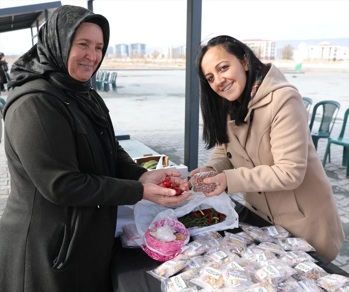 Kocasinan Belediyesi 22.500 Ata Tohumu'nı Ücretsiz Dağıttı