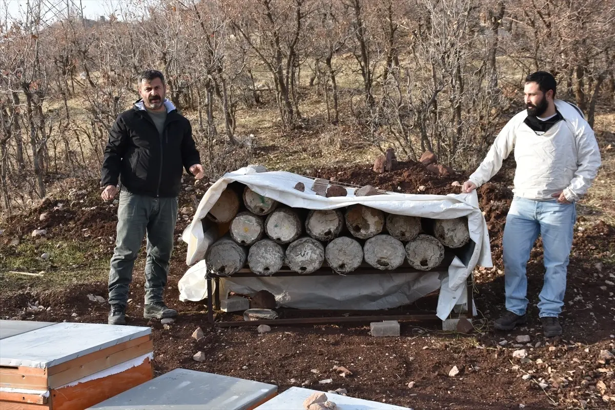 Yusuf Göktepe, Londra'da Altın Madalya İçin Hazırlanıyor